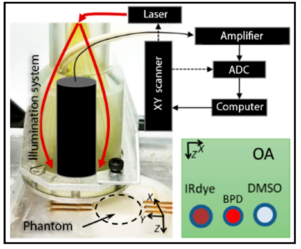 Towards Bimodal Optical Monitoring of Photodynamic Therapy with Targeted Nanoconstructs: A Phantom Study