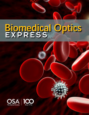 In vivo monitoring of vascularization and oxygenation of tumor xenografts using optoacoustic microscopy and diffuse optical spectroscopy